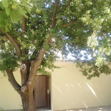 Apartments Angela Biograd Na Moru Luaran gambar