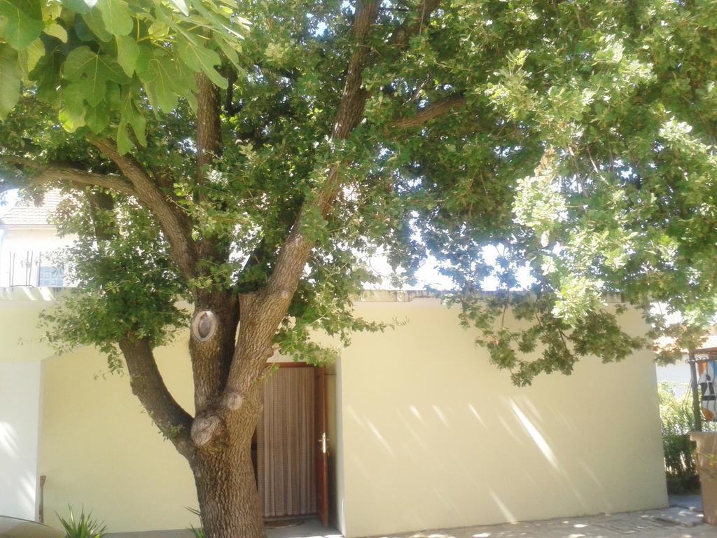 Apartments Angela Biograd Na Moru Luaran gambar